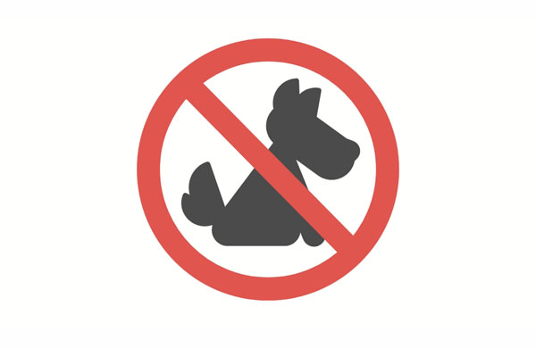 Why can’t I bring my dog on this trip?  People are not allowed to bring dogs into the park.