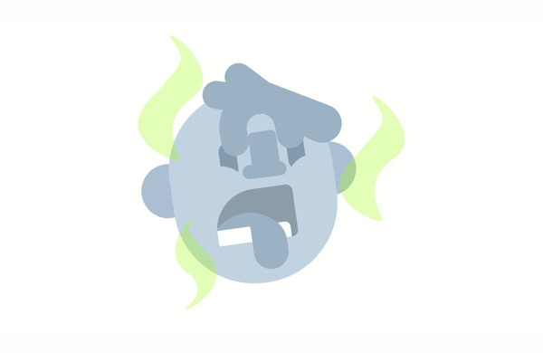 Dan dislikes the smell of the zebras.