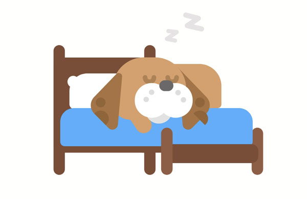 The dog is asleep on the bed.  Shh, my dog is finally getting some sleep. He was awake all night!