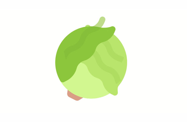 What did you buy this cabbage for? Are you putting it in the soup?