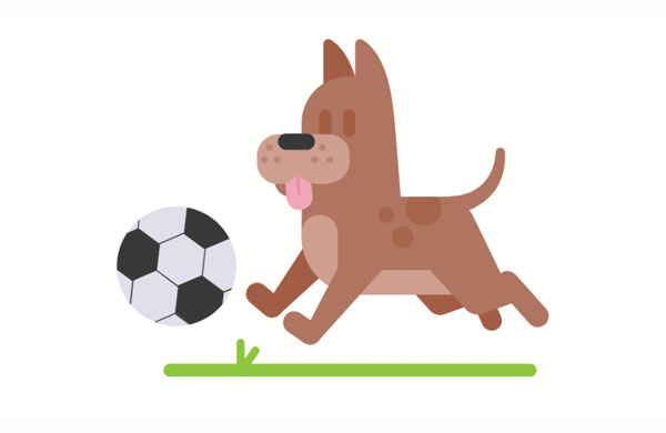Look, my&nbsp;dog can score goals! He&rsquo;s really good at&nbsp;soccer!