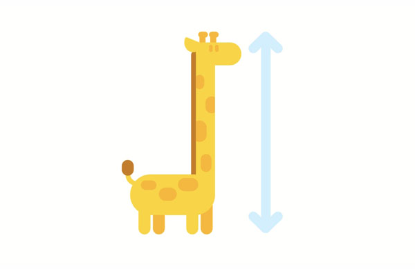The giraffe is the tallest animal.